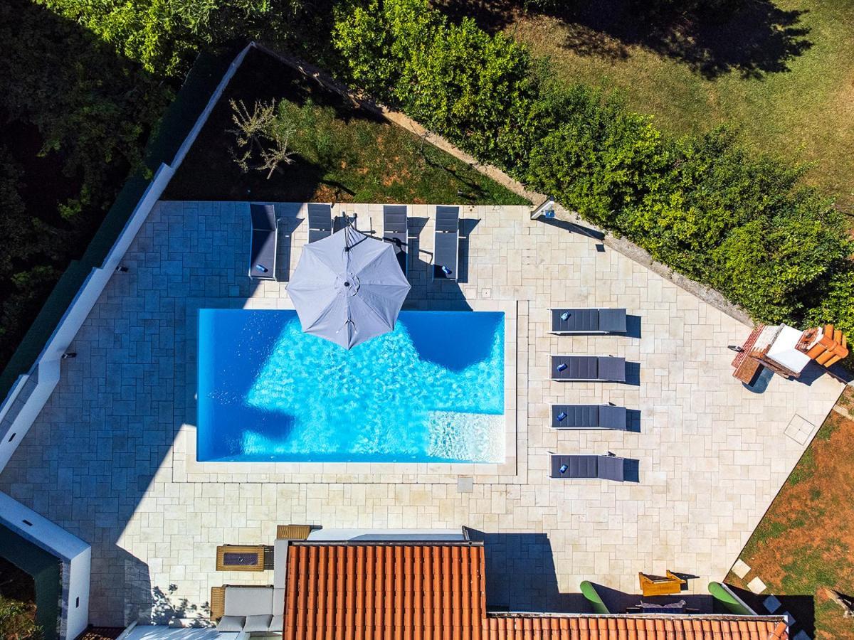 Big Swimming Pool Apartment Monvidal Πούλα Εξωτερικό φωτογραφία
